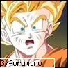 asta imi arata cand porneste consola.. iar cand vor sa se conecteze la server le da invalid cd key